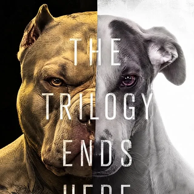 Source image for End an AI character rivalry as a trilogy: 60K likes