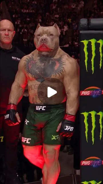 Source image for Cross-post an AI fight story between accounts: 189K likes