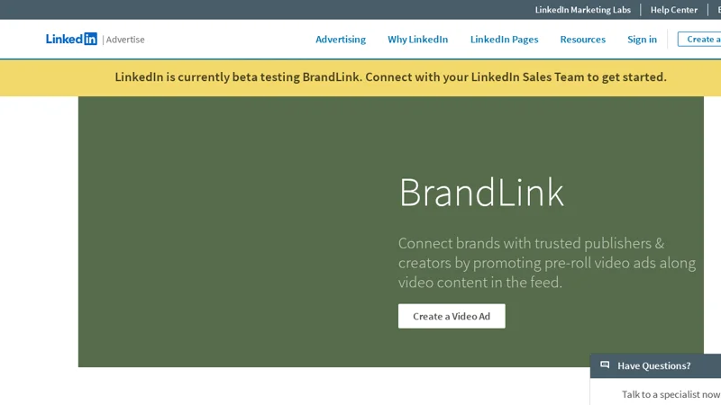 LinkedIn BrandLink shares video ad revenue with 100+ creators