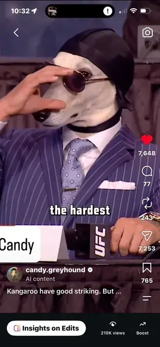 Source image for Turn a viral AI character into client work: Candy the greyhound, 86M+ impressions