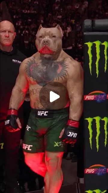 Source image for Cross-post an AI fight story between accounts: 189K likes