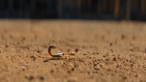 Source image for Make fast, high quality AI video with FLUX 3 Max on fal: 29K views