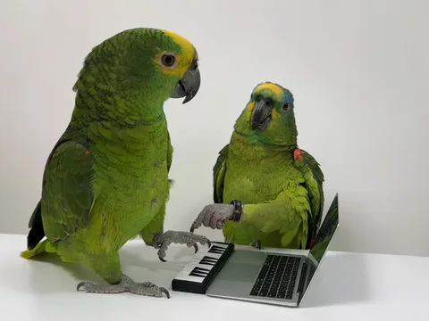 Source image for Make your parrots sing a hit song with Higgsfield: 1M plays