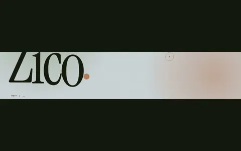 Preview image from the post by @zicoyz
