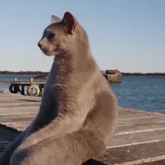 Reference Original Clip
