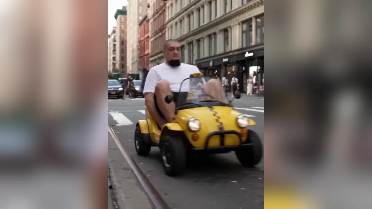Still from the result video: Cat Cabbie: Get in the Car