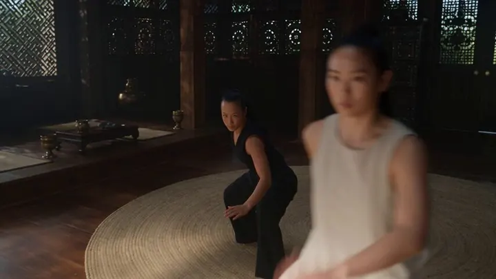 Still from the result video: Martial Arts Duel in a Training Hall