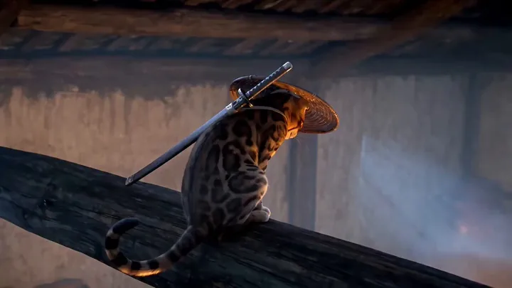Still from the result video: Samurai Cat vs. Husky Kung Fu Dance Battle